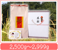 結婚式 ご両親への記念品<体重米>【天蓋米】2,500g〜2,999g