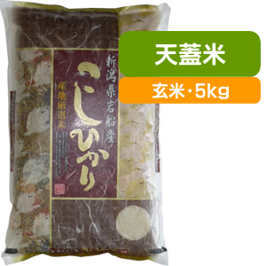 棚田米コシヒカリ 天蓋米 玄米・5kg