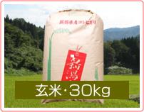 新潟コシヒカリ【天蓋米】玄米・30kg