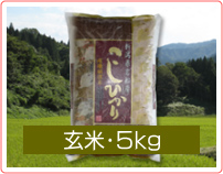 新潟コシヒカリ【天蓋米】玄米・5kg