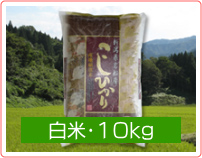 新潟コシヒカリ【天蓋米】白米・10kg