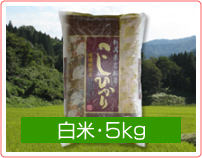 新潟コシヒカリ【天蓋米】白米・5kg