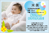 出産内祝い米 カードデザイン-018