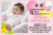 出産内祝い米 カードデザイン-017